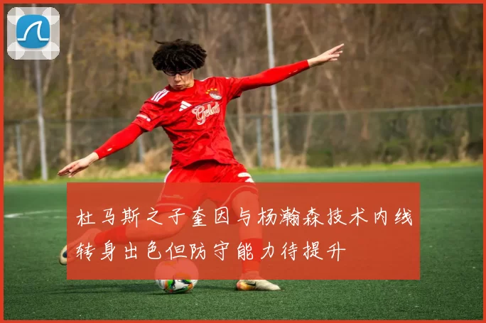 杜马斯之子奎因与杨瀚森技术内线转身出色但防守能力待提升